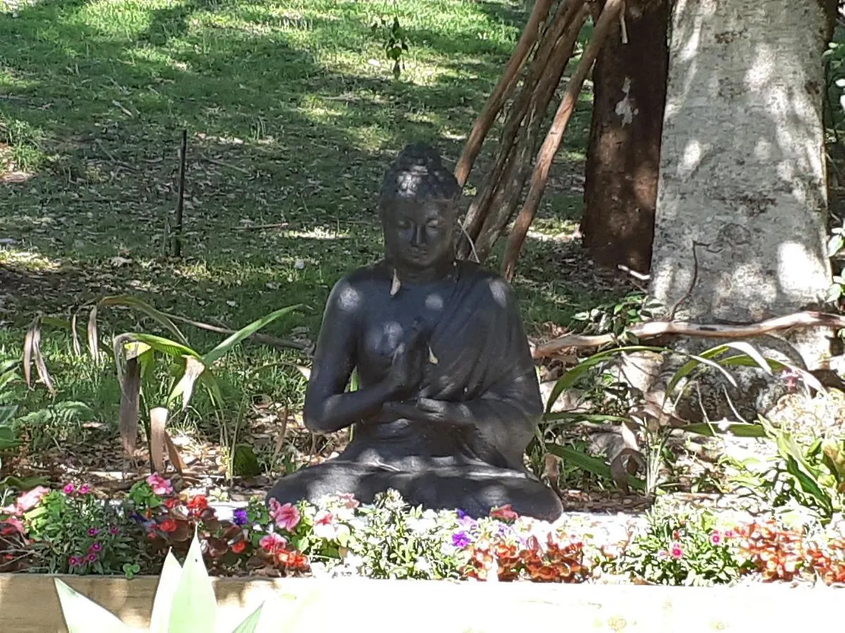 Panzió Mapleton Peaceful Provence Bnb Ausztrália